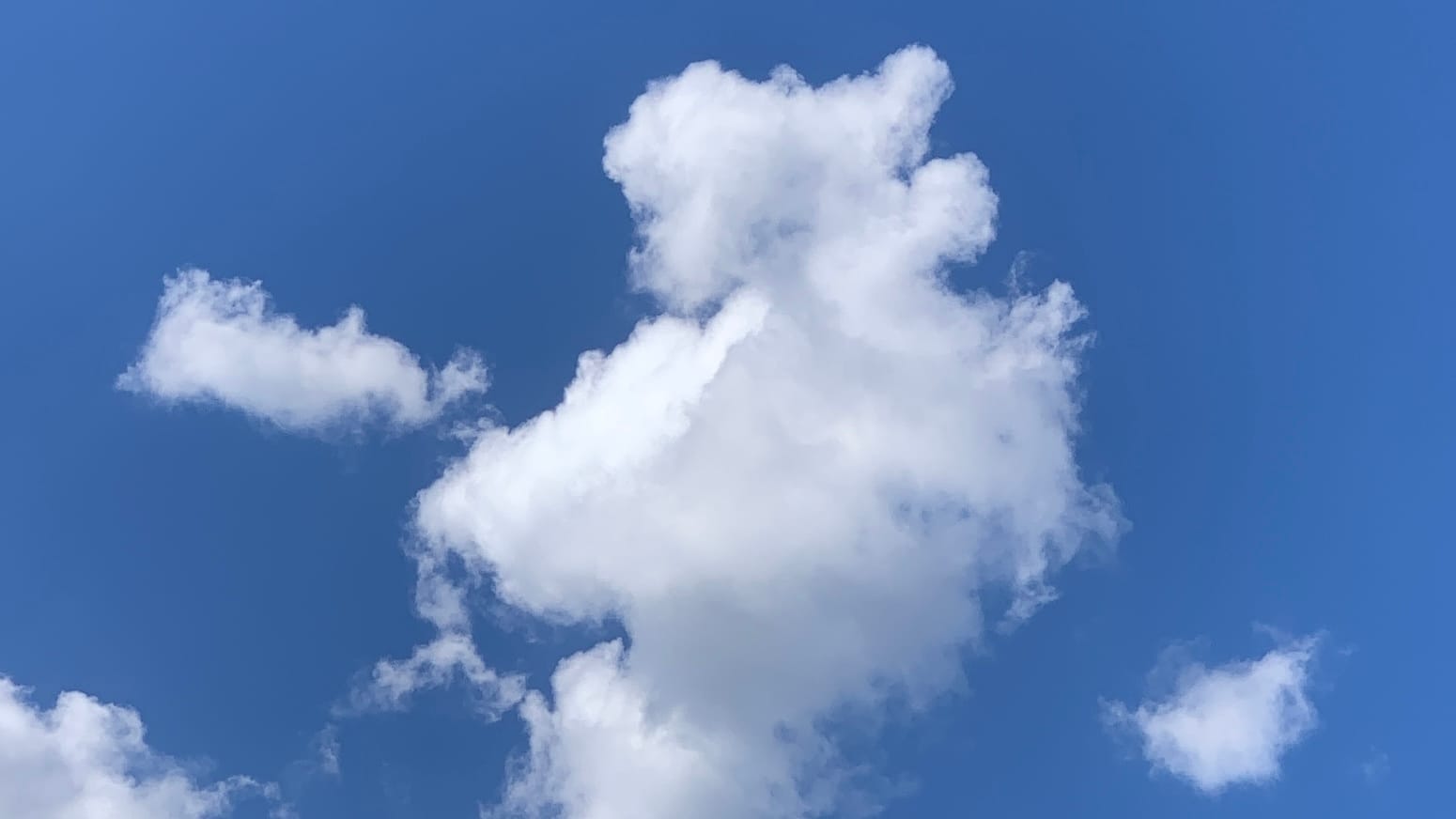 A tall poofy cloud against a blue sky