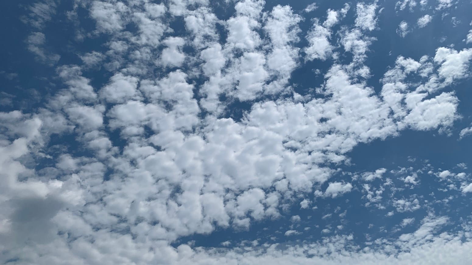 A bunch of cotton-ball-looking clouds clumped together surrounded by blue