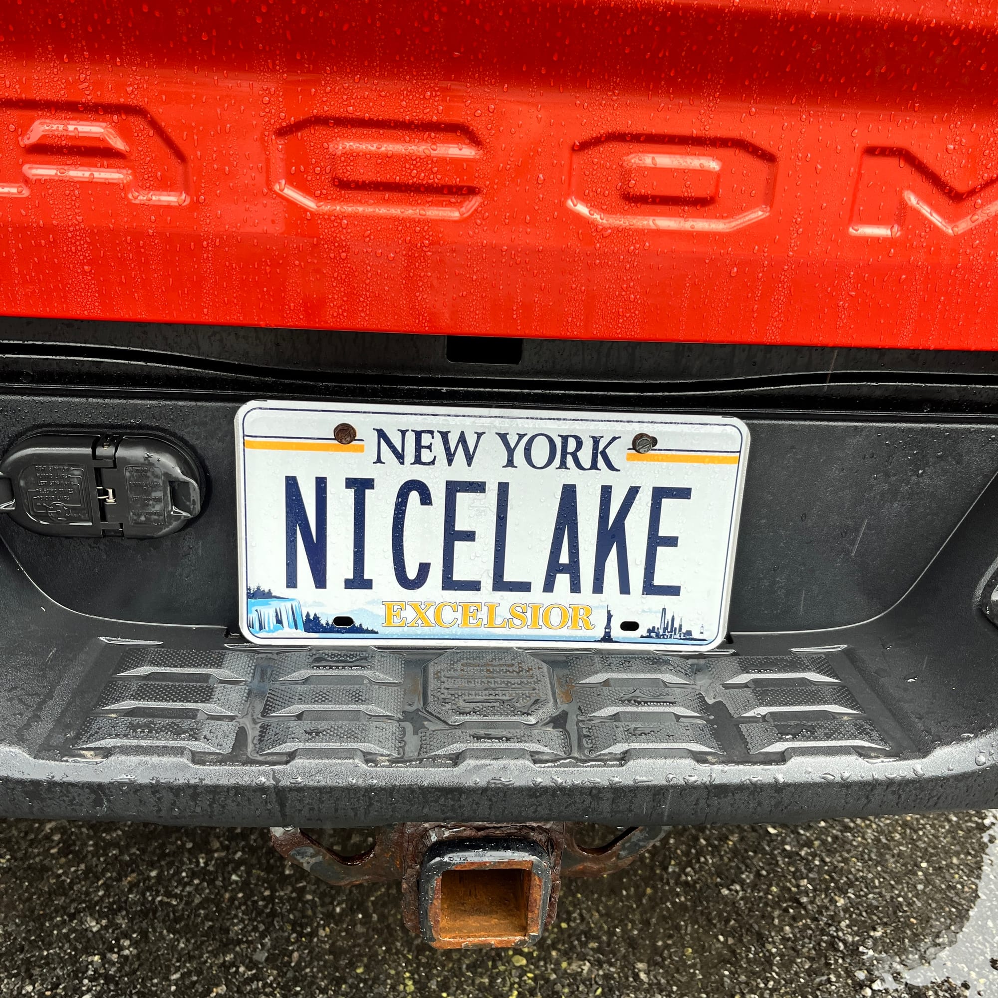 New York EXCELSIOR  license pate I spotted in the parking lot of Stewart's that reads NICELAKE