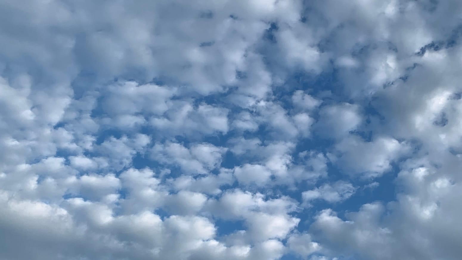 A whole bunch of tiny puffy clouds against blue sky