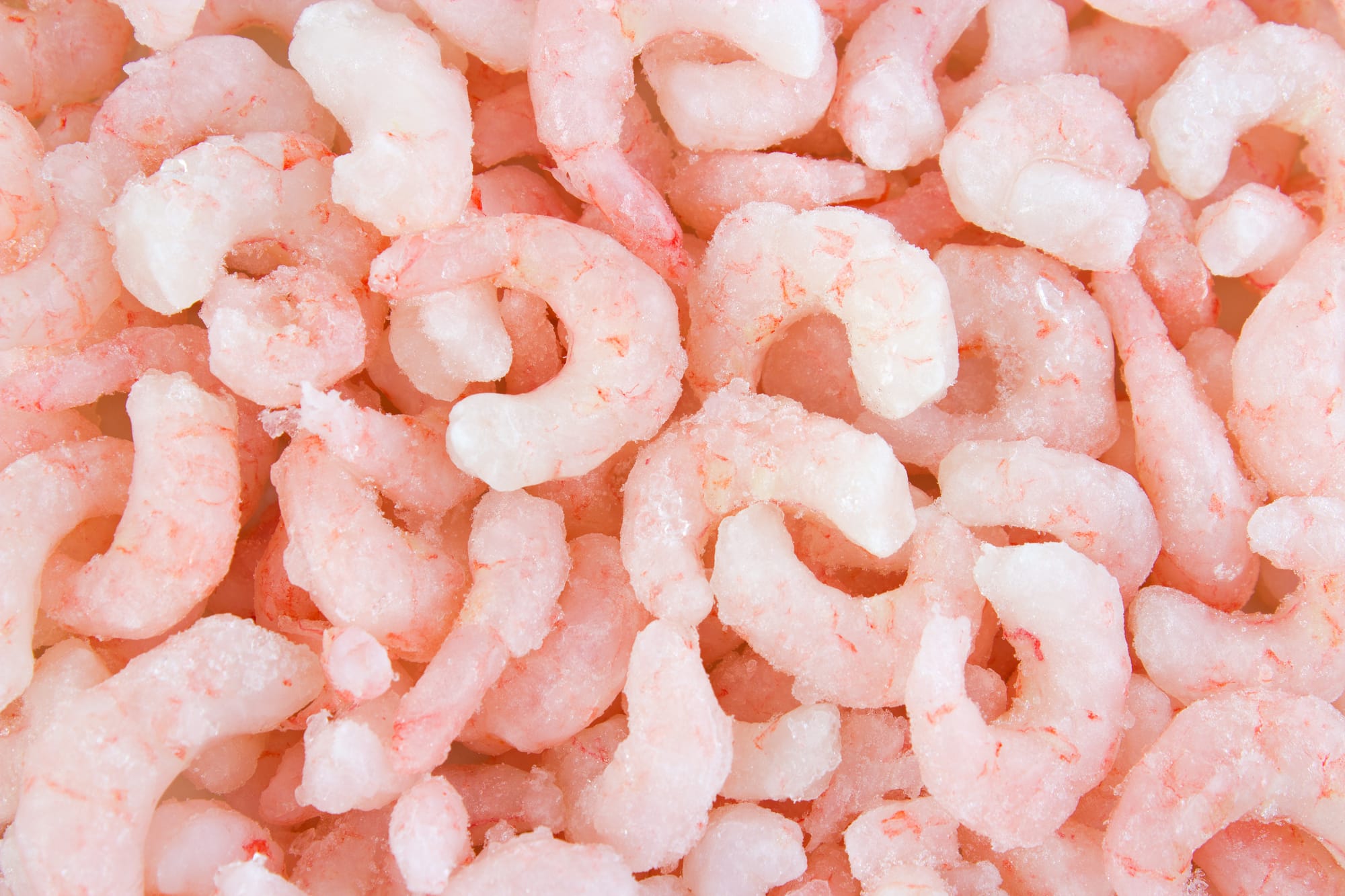 Frozen shrimps