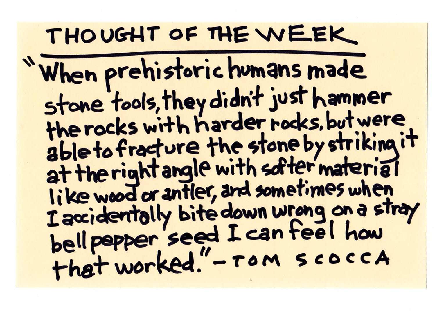 "When prehistoric humans made stone tools, they didn't just hammer the rocks with harder rocks, but were able to fracture the stone by striking it at the right angle with softer material like wood or antler, and sometimes when I accidentally bite down wrong on a stray bell pepper seed I can feel how that worked." -TOM SCOCCA