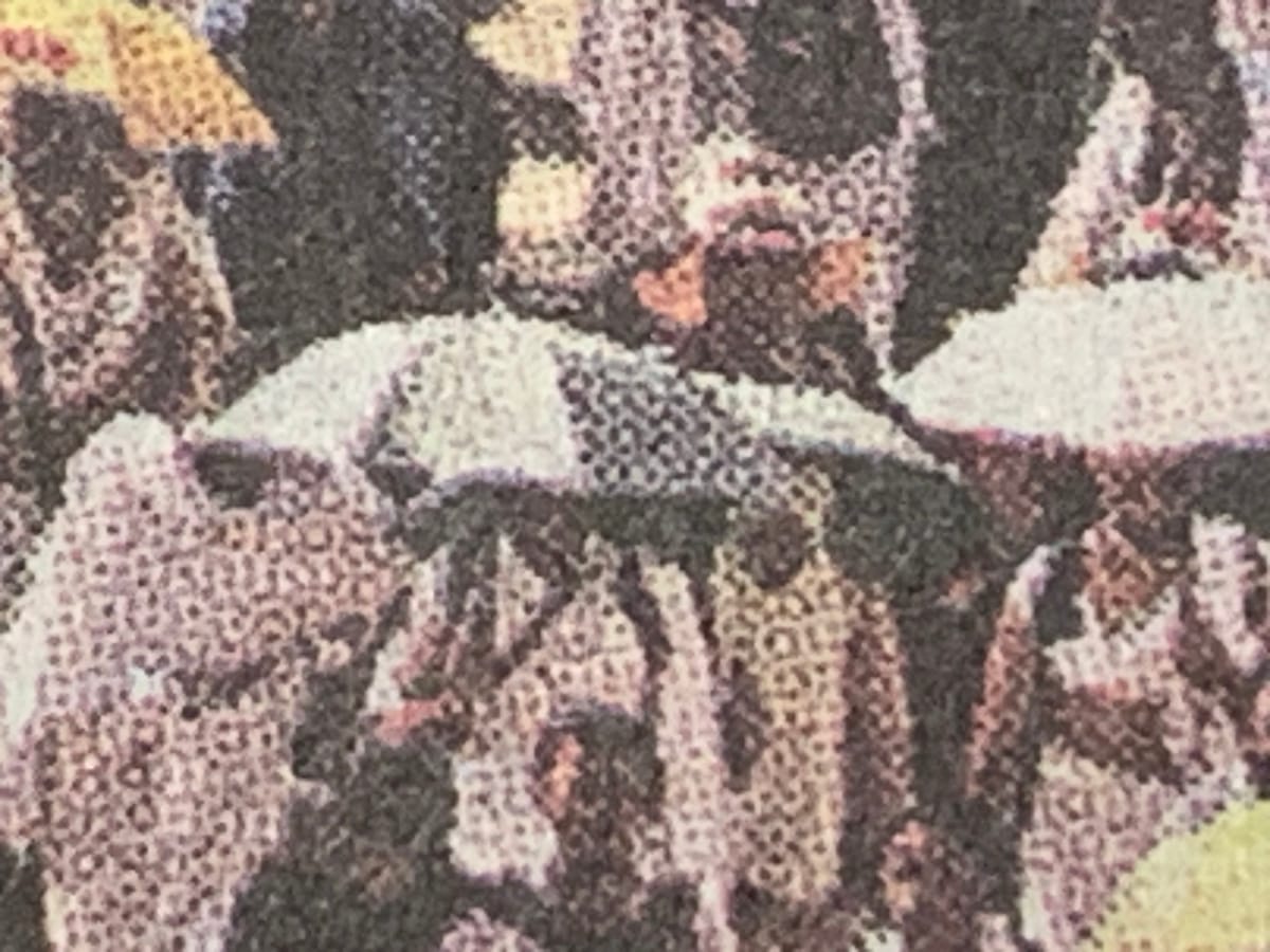 Pilgrims under parasols at the Hajj