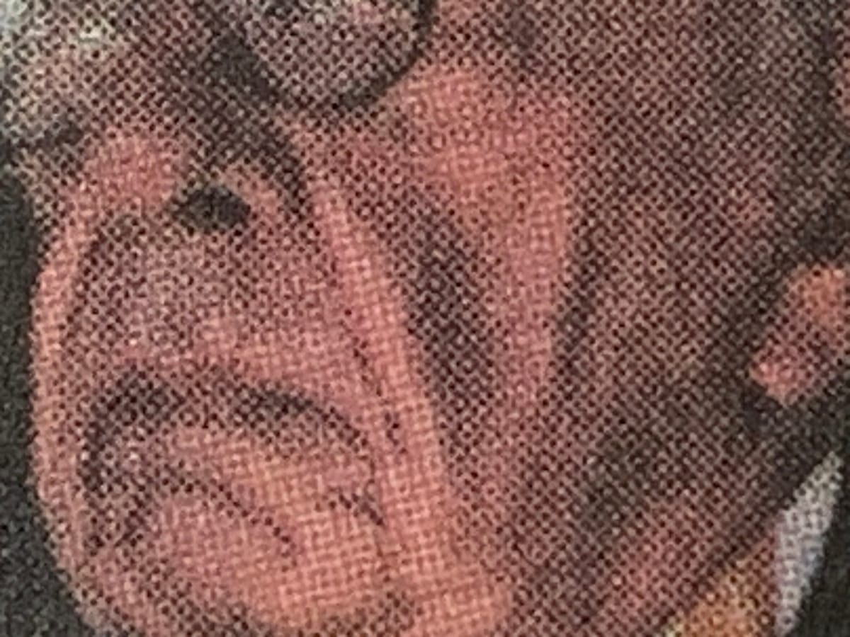 Detail of New York Times photo of Rupert Murdoch