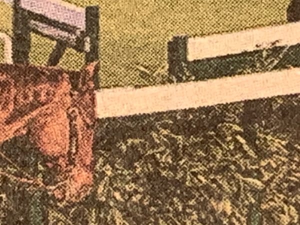 AN EXTREME CLOSEUP DETAIL OF A PHOTO FROM TODAY'S NEW YORK TIMES - VISIBLE IS A HORSE'S HEAD, A FENCE, AND GREENERY