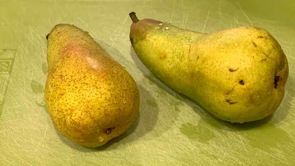 Two ABATE FETEL pears, long and greenish and speckled, lie on a scratched-up green plastic cutting board.