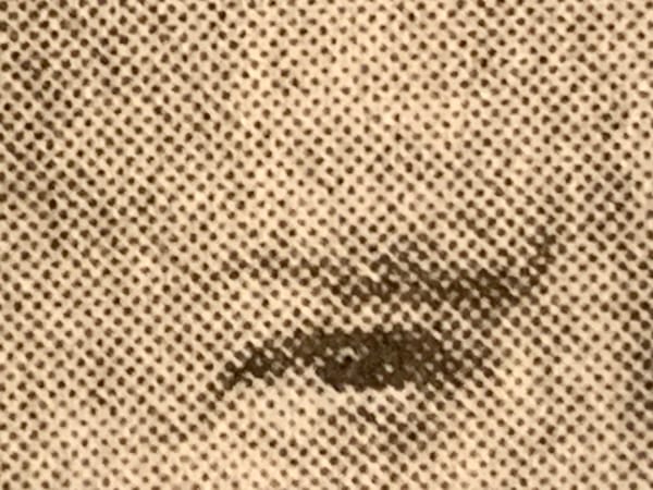 Detail of NYT photo, Joe Biden's eye