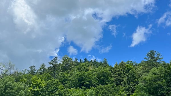 Green trees along a ridge in the Adirondacks reaching up towards a partly cloudy brilliant blue and white sky