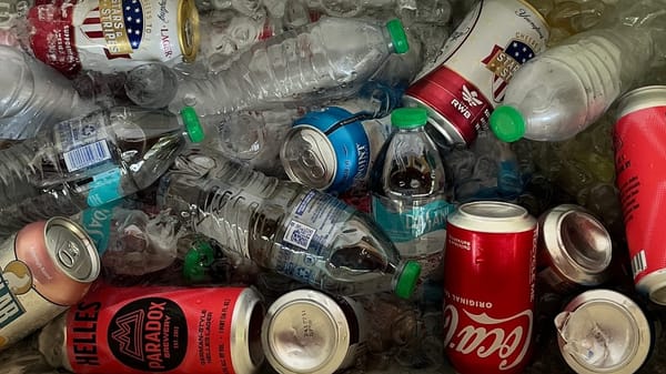 An icy Igloo cooler full of cans of various soft drinks and beers; Paradox Helles, Coca-Cola, Yuengling, Polar seltzer