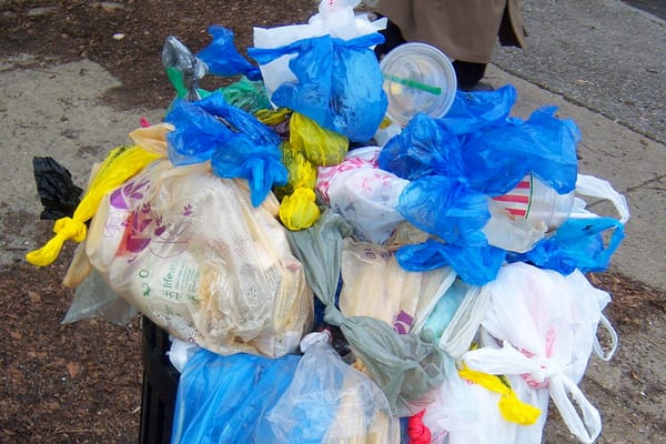 A sidewalk trash receptacle overflowing with plastic bags full of doggie doo