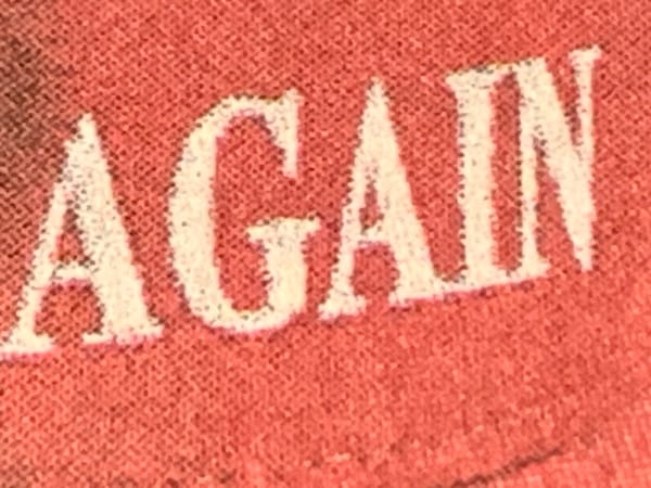 Photo of a someone wearing MAGA hat cropped to the word AGAIN 