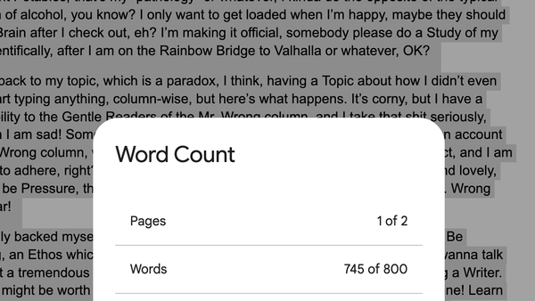 A screenshot of the word count and words captured during the typing of this very column.